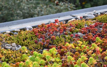 the cost of Hayscastle Cross green roof installation