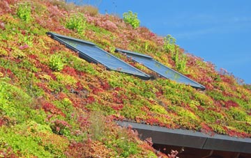 Hayscastle Cross living roof systems