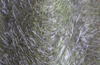 Hayscastle Cross fibreglass roof work